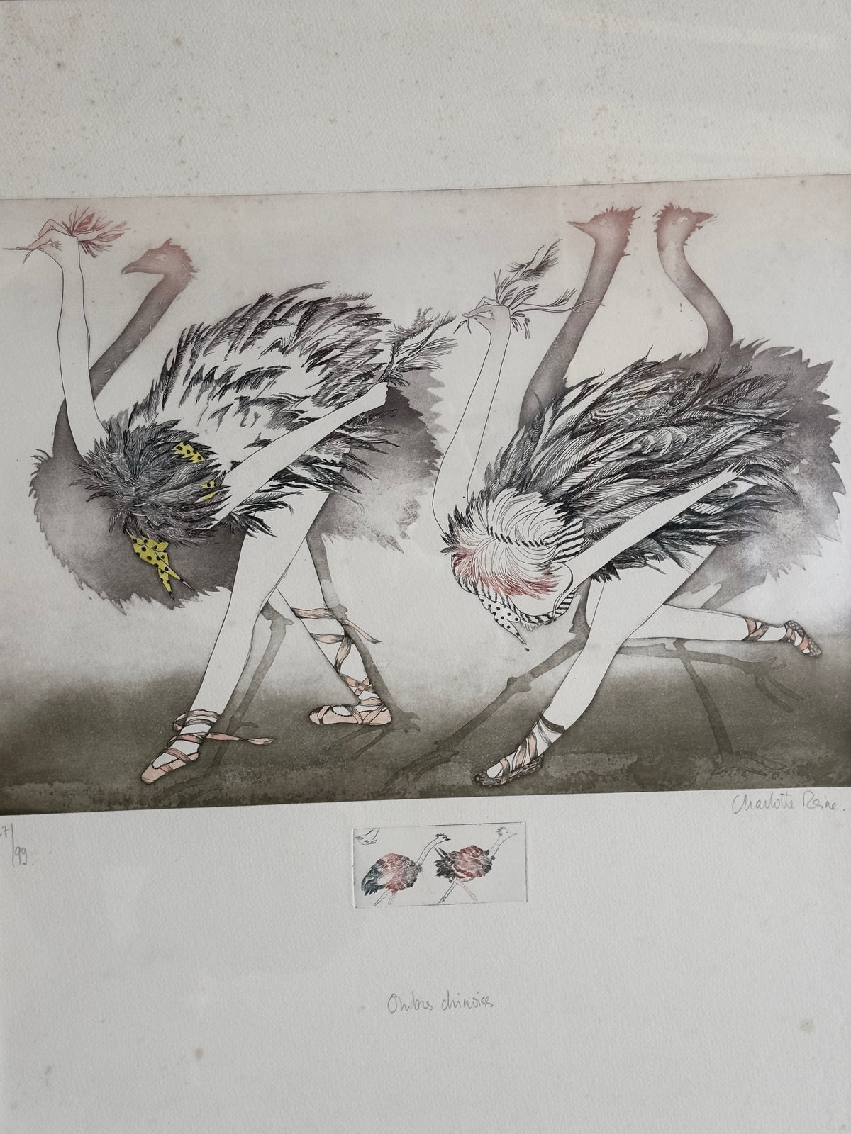 Ombres chinoises — Charlotte Reine